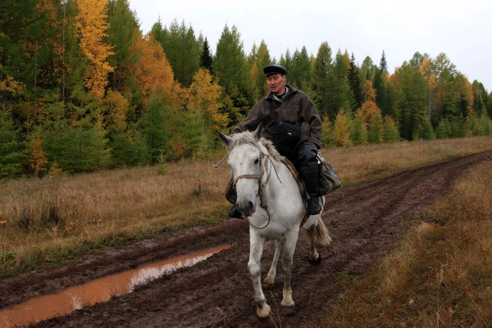 Почтальон Печкин на Бэхе Х5: сибиряк доставляет почту в глухие деревеньки за 150 км на коне. Фото: Борис СЛЕПНЕВ.