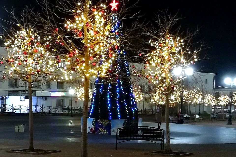 На бульваре Черняховского уже установили новогоднюю елку и украсили деревья гирляндами.