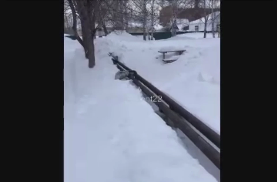 Кадр из видео в соцсетях