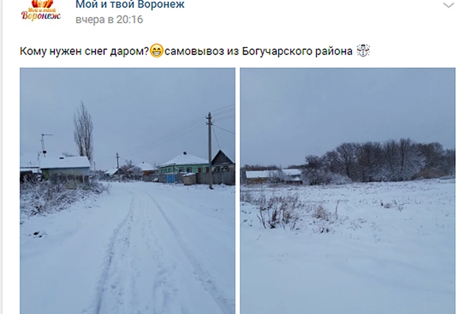 Картина экзотическая для нынешней зимы...