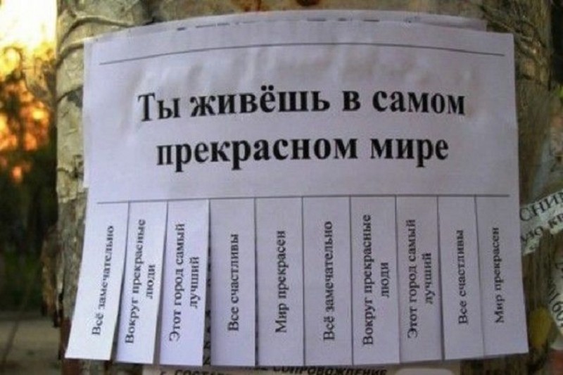 Как бы то ни банально звучало, но Кишинев не без добрых людей, как оказалось. Фото: mediasole.ru