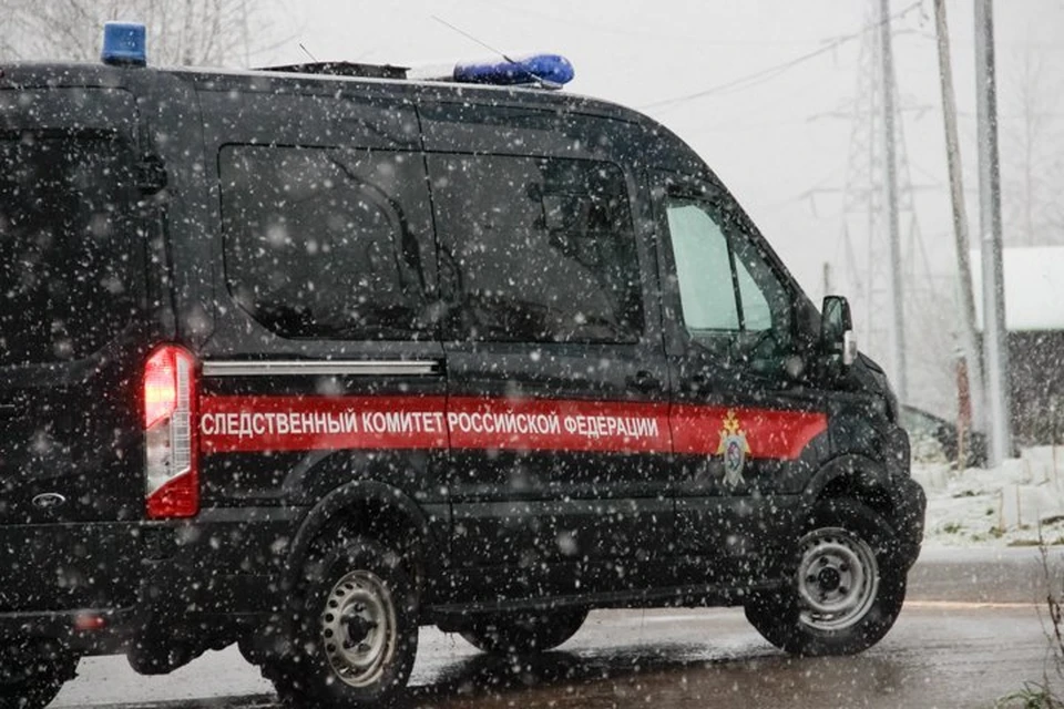 Если виновные в смерти ребенка будут найдены, им грозит до трех лет лишения свободы