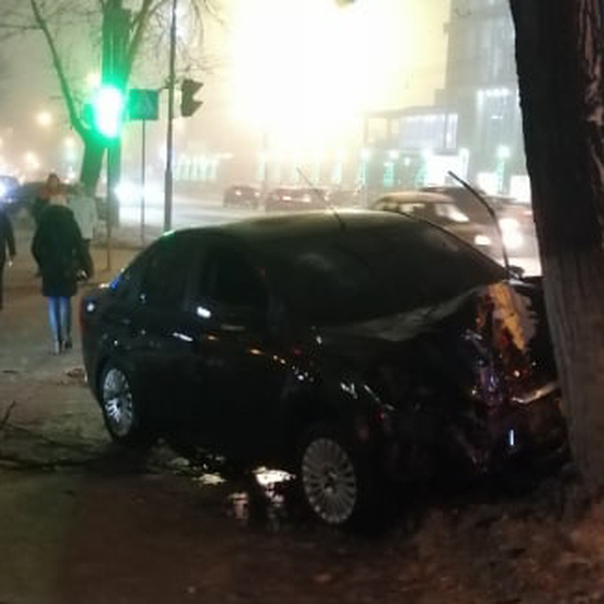 Очередной «гонщик» врезался в дерево на улице Белинского в Нижнем Новгороде  - KP.RU