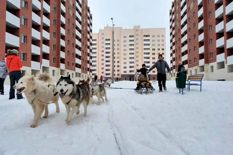 Зимнее чудо жителям «Новой Самары» подарила строительная компания «Финстрой».