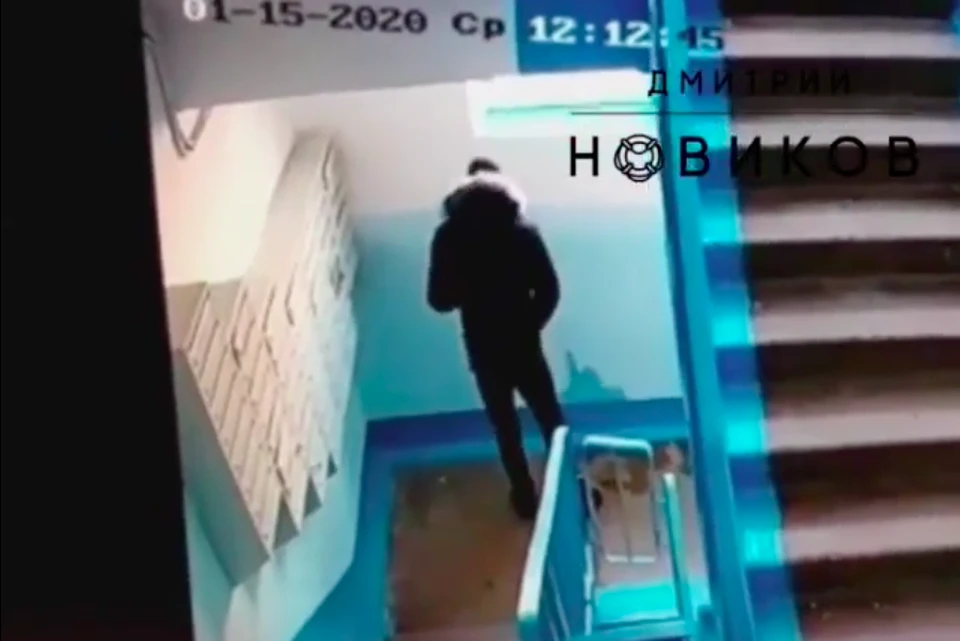Молодой человек справил нужду в подъезде