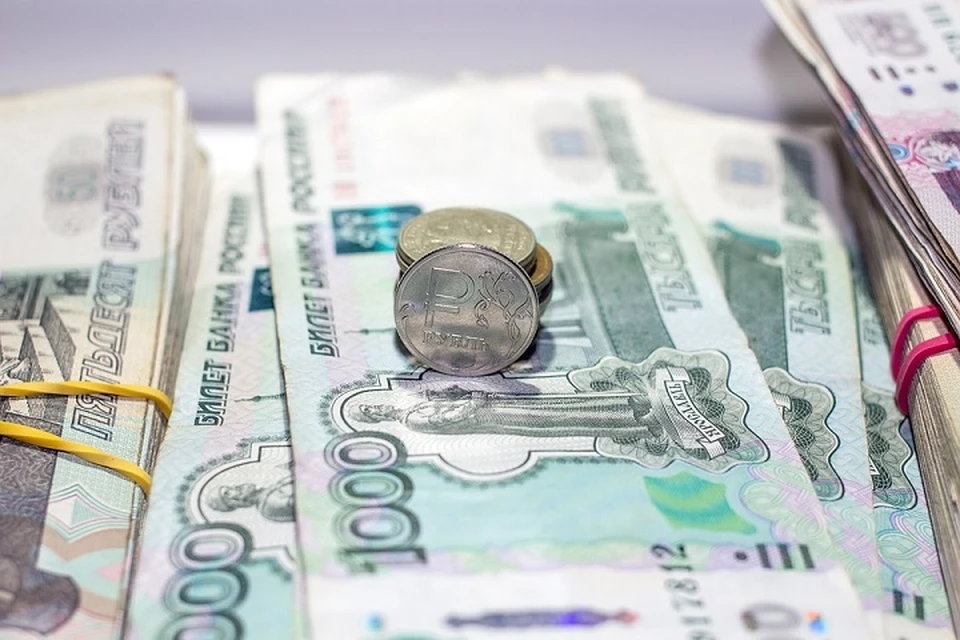 В Лабытнанги директор скрыл от налоговиков 11 миллионов рублей Фото: pixabay.com