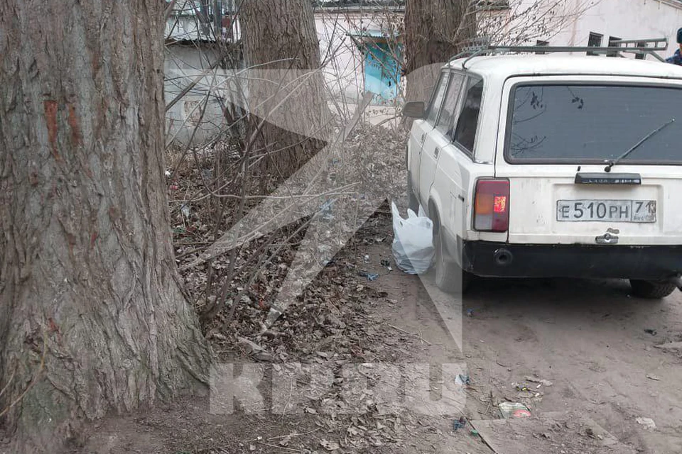 В ноябре в Туле на ул. Болдина произошел взрыв неустановленного устройства.
