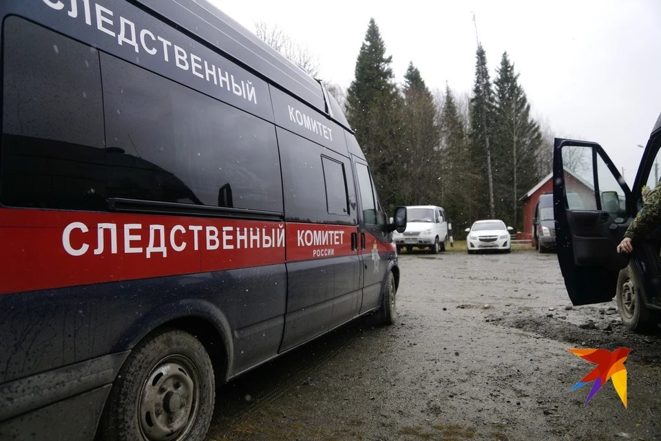Зарезав брата ножом в спину, рязанка заявила, что это суицид.