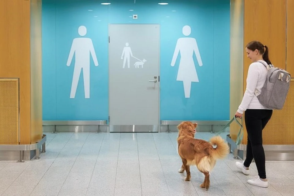 В аэропорту Хельсинки открылись туалеты для собак. В том числе для стеснительных. Фото: finavia.fi