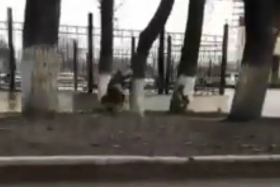Военные в бронежилетах и с автоматами напугали ростовчан. Фото: соцсети