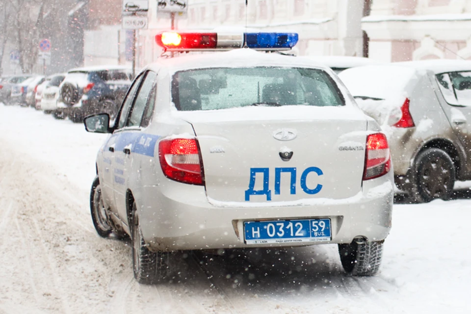 В министерстве природы предупреждают о том, что водителю грозит штраф за сбитое животное