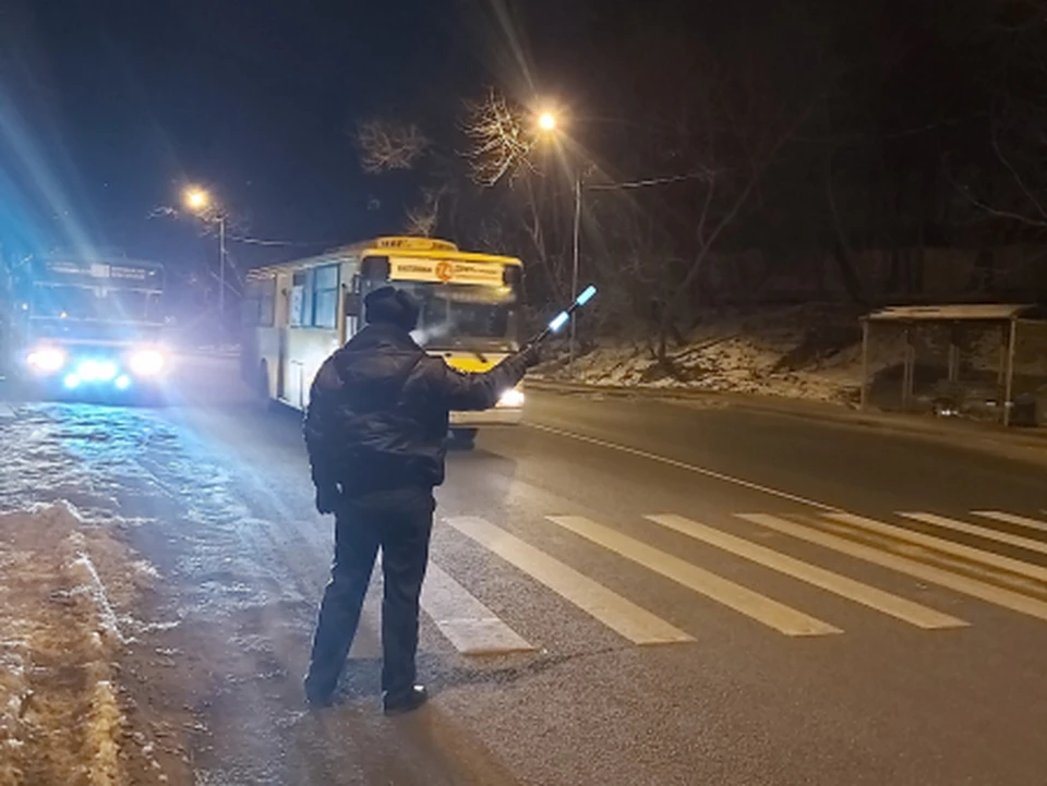 Госавтоинспекторы проводят рейды. Фото: УМВД по Приморскому краю