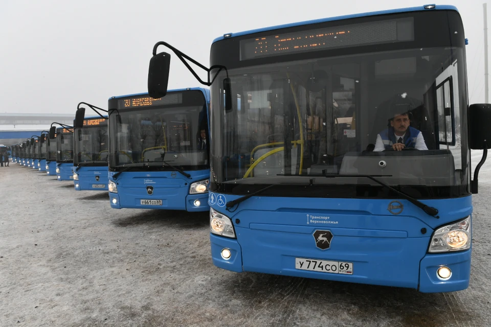Вот такие автобусы. Фото: пресс-служба ПТО