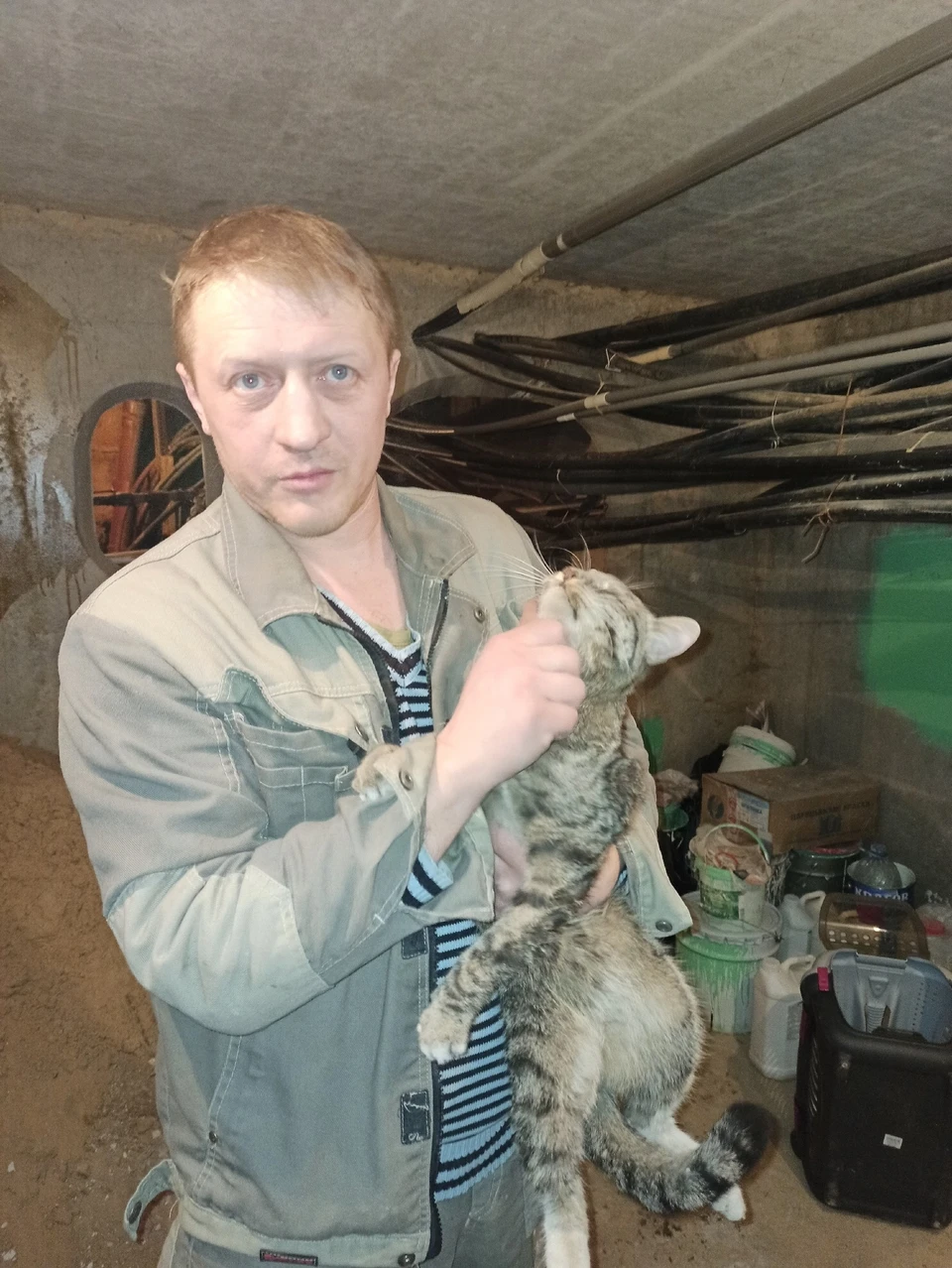 Отряд Кошкиспас vk.com/koshkispas