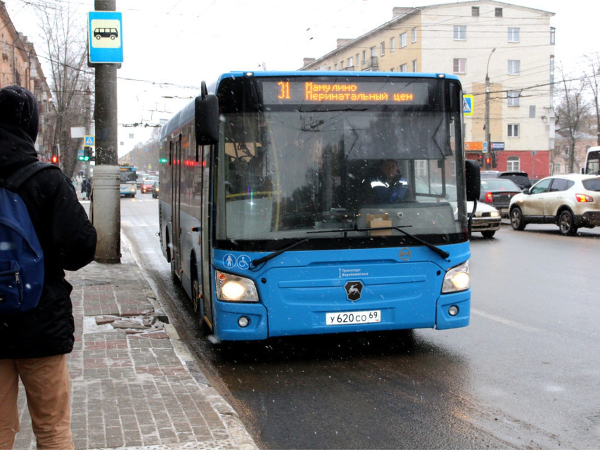 Разноцветные маршруты и комиссия в 0,6%: Отвечаем на новые вопросы о  транспортной реформе - KP.RU