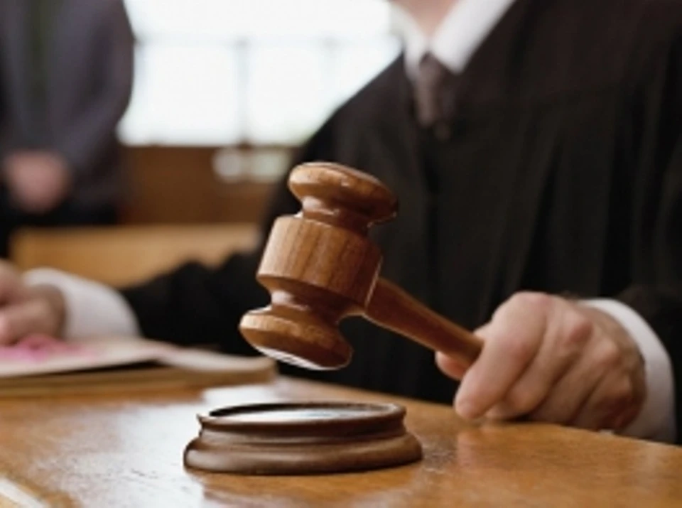 Суд назначил нарушителю наказание в виде одного года и одного месяца лишения свободы