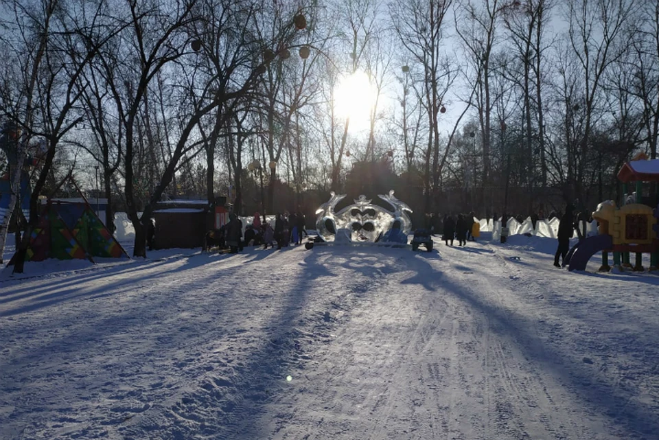 Погода в Хабаровске на 10 февраля 2020 года: днем до -12, без осадков