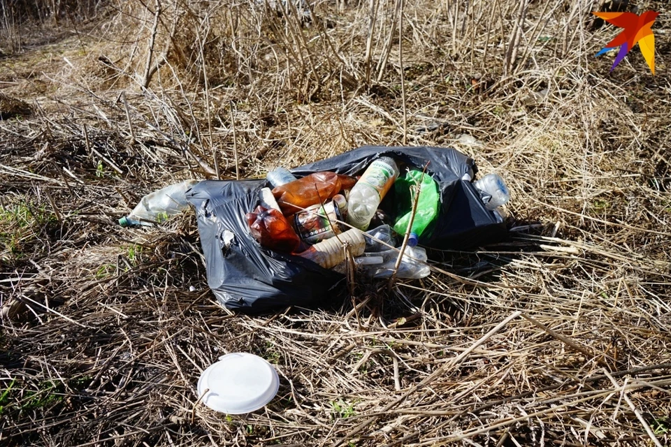 В Орловской области обнаружили пять свалок на полях