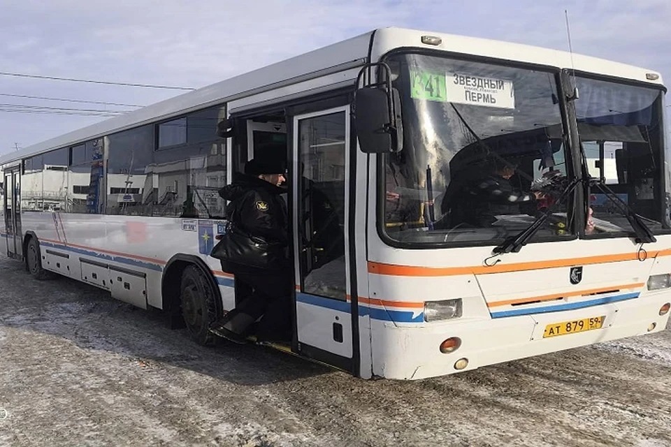 Автобус пермь курашим. Автобус Кондратово Курашим НЕФАЗ. Автобус Пермь Кунгур. 748 Автобус Пермь. Автобус Пермский междугородный.