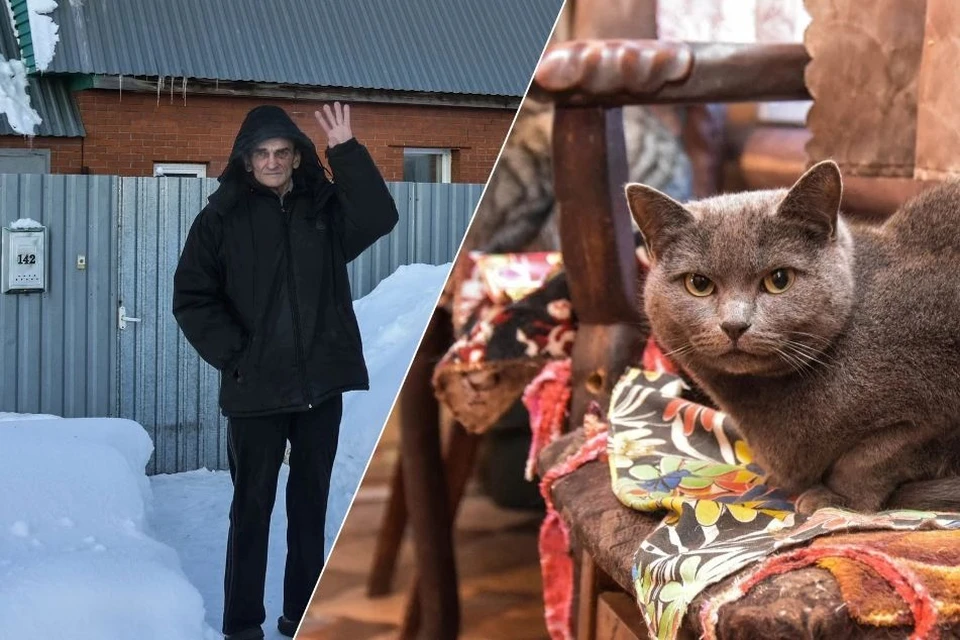 Сергей Меренко готов отписать свой дом тому, кто будет любить его кошек также, как он.