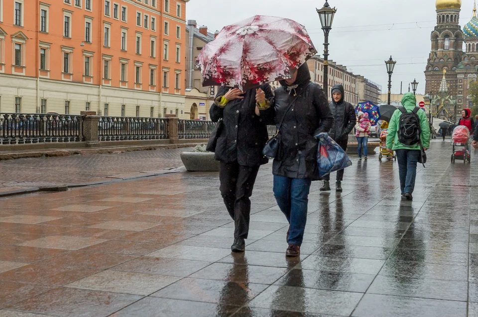 Сильный ветер ожидается в Петербурге 16 февраля.