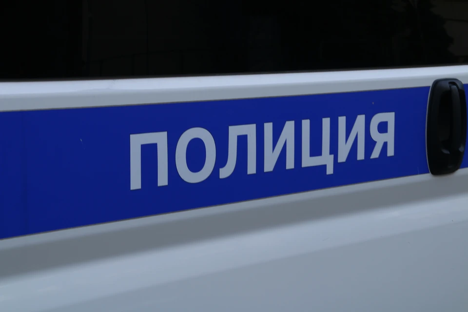 Полиция раскрыла кражу.