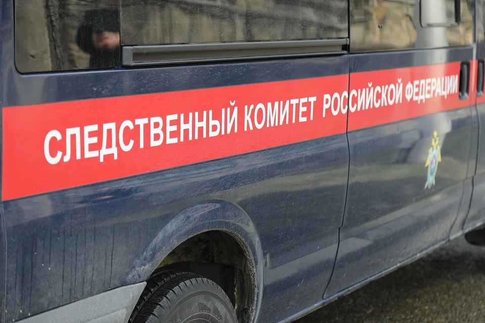 Бабушке не понравилось, как школьница убралась в доме. В адрес внучки посыпались замечания, а в сторону пенсионерки – удары ножом