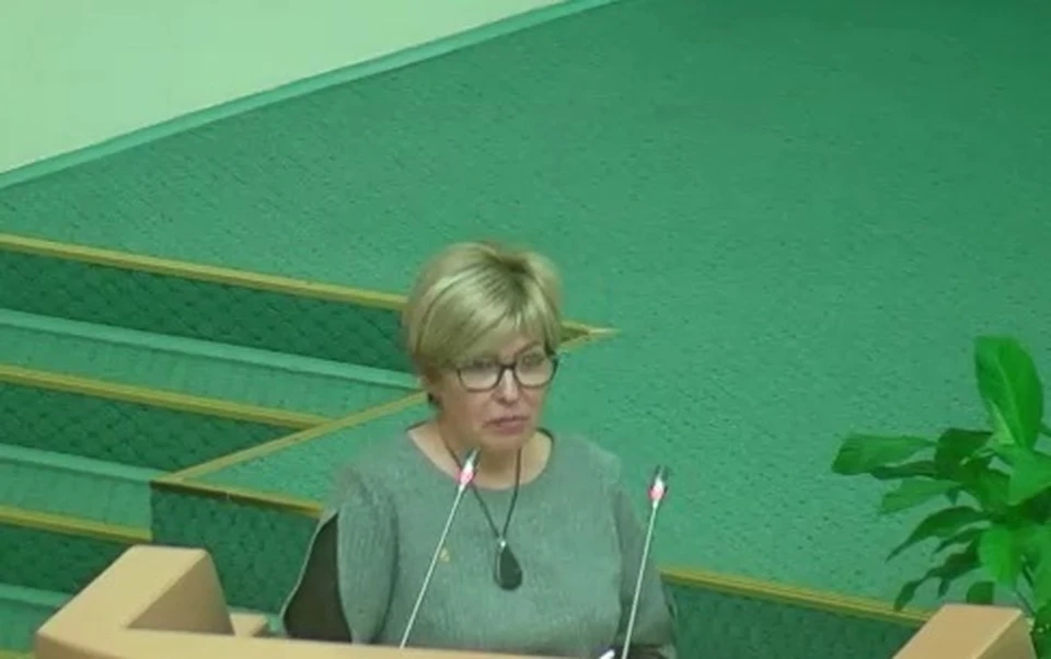 Татьяна Загородняя на докладе в облдуме