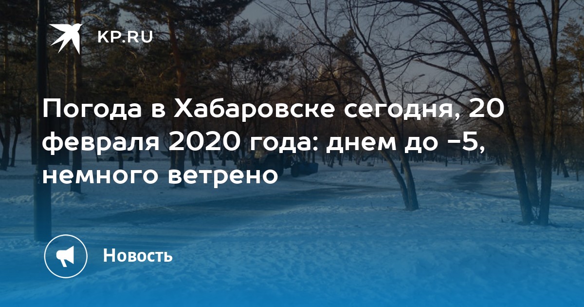 Погода на февраль 2020 хабаровск