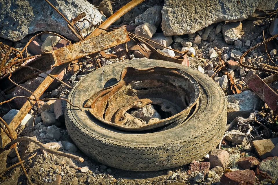 Фото: pixabay.com
