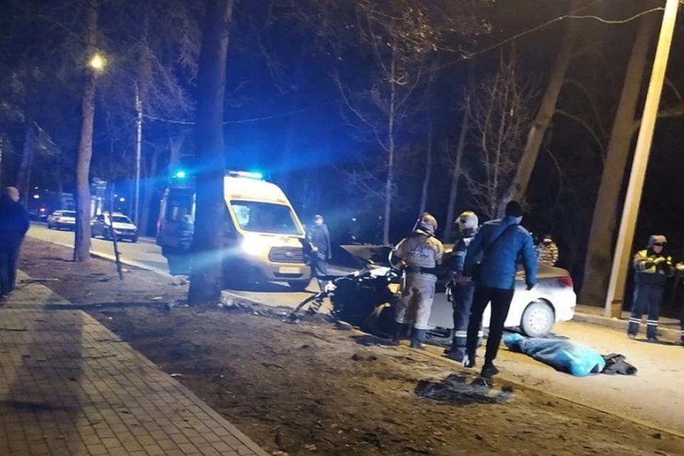 Водитель иномарки погиб, врезавшись в дерево в Пушкине