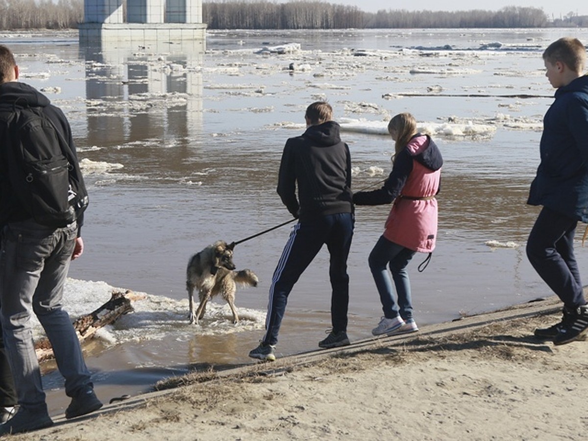 Между нами тает лед