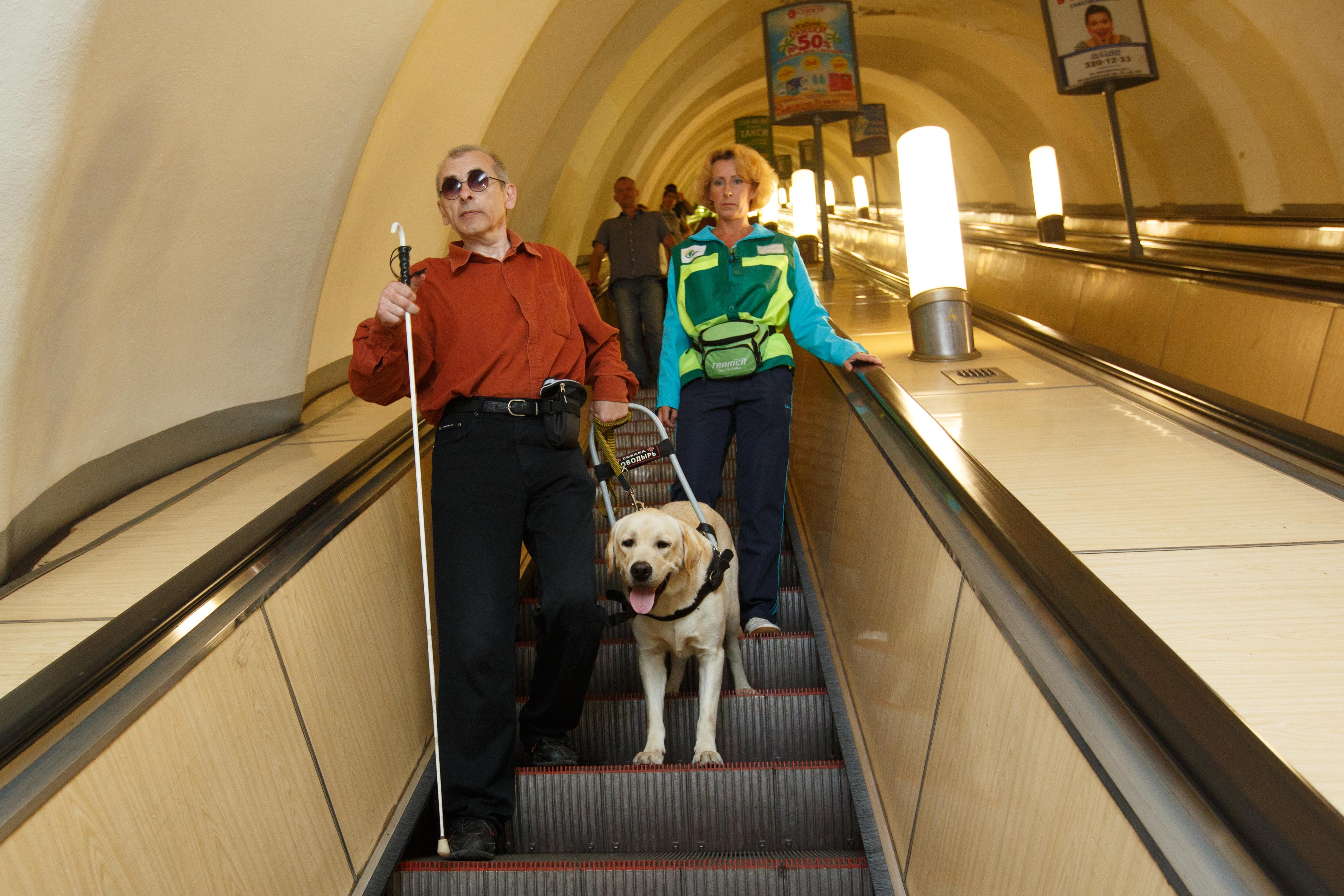 В метро рассказали, каких собак пускают в подземку Петербурга без специальной переноски