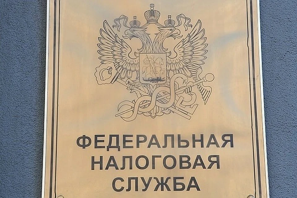 Введение прогрессивной ставки НДФЛ не принесёт ожидаемой выгоды и не станет решением вопросов социальной справедливости, считает эксперт