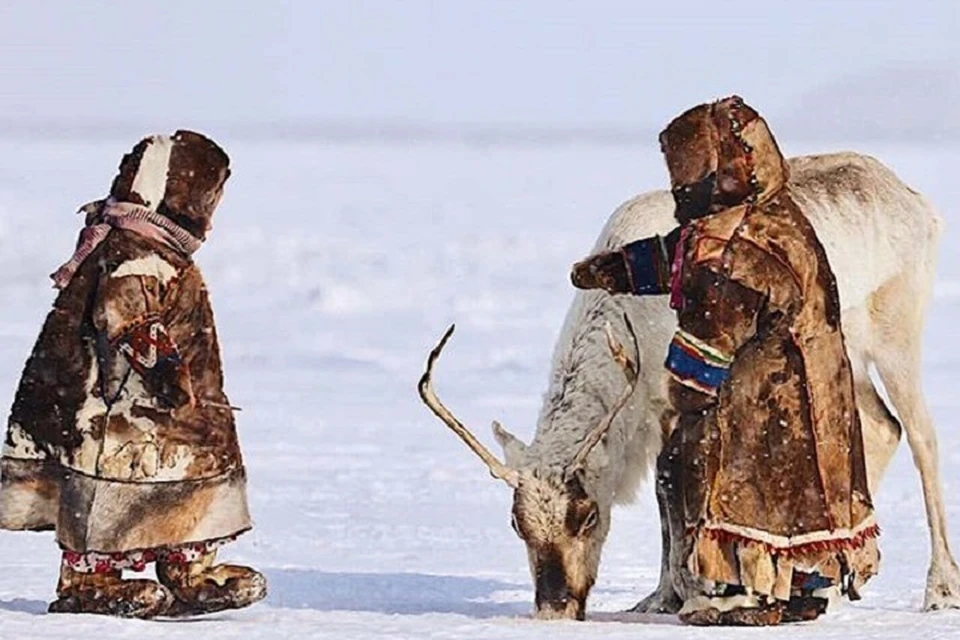 Погода на Ямале 29 февраля: снегопад и сильный ветер. Фото из группы "Надым" во "ВКонтакте"