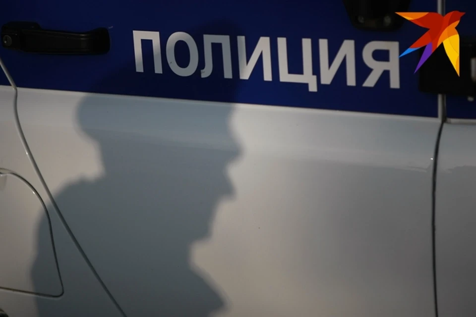 По факту кражи полиция проводит проверку.