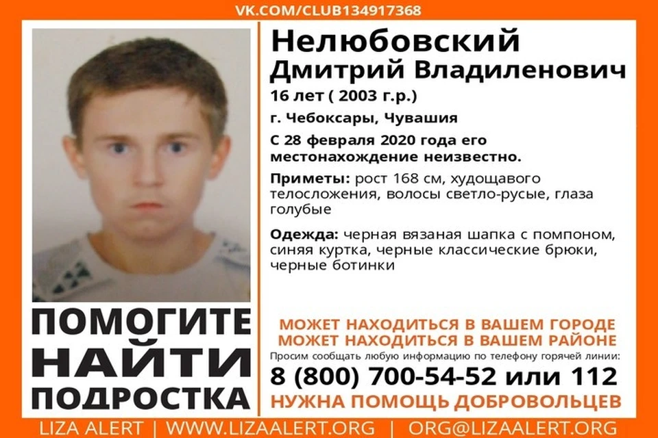 Фото: ПСО "Лиза Алерт"
