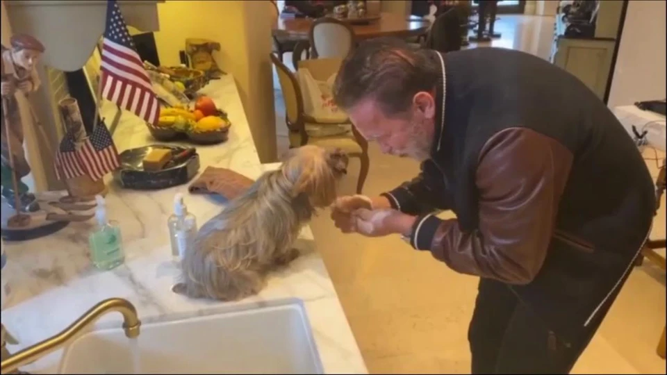 "Терминатор" показывает своей собаке, как следует правильно мыть руки с мылом. Фото: скриншот видео Instagram