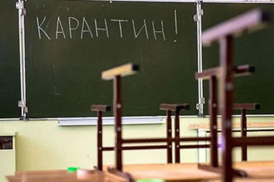 В ДНР школы и вузы могут перевести на дистанционное обучение в случае обнаружения коронавируса. Фото: ВКонтакте