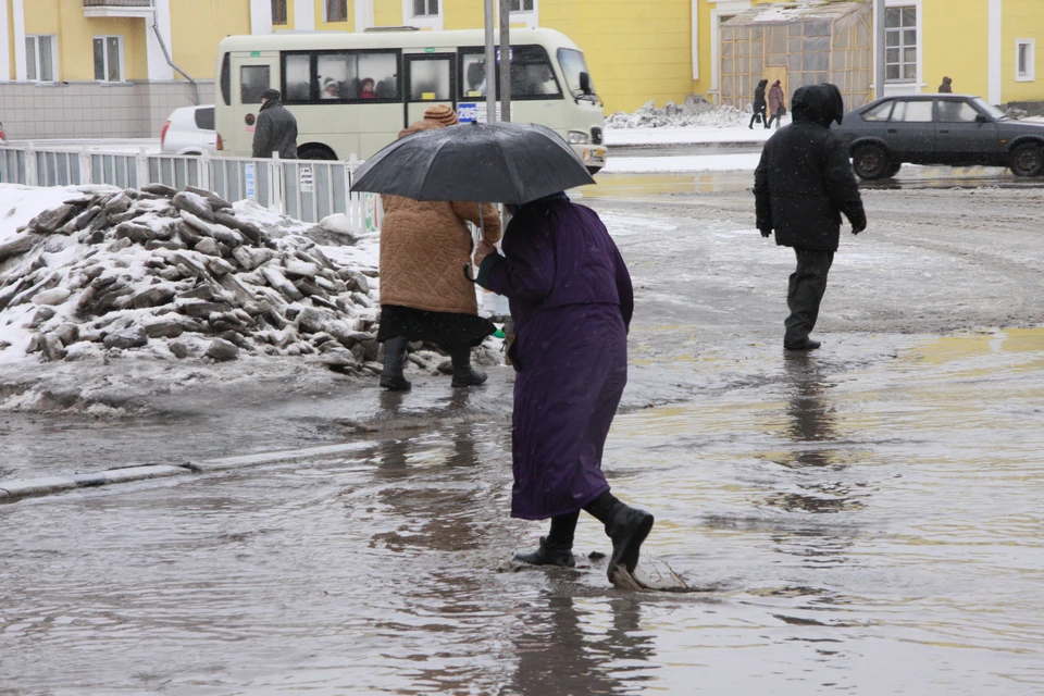 Купить в барнауле сегодня