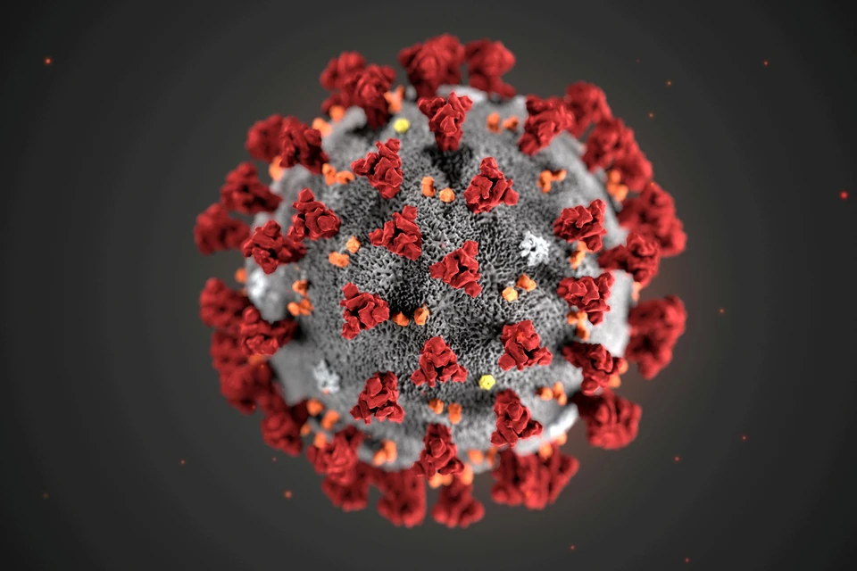 Американские вирусологи могли создать опасный коронавирус еще в 2015 году