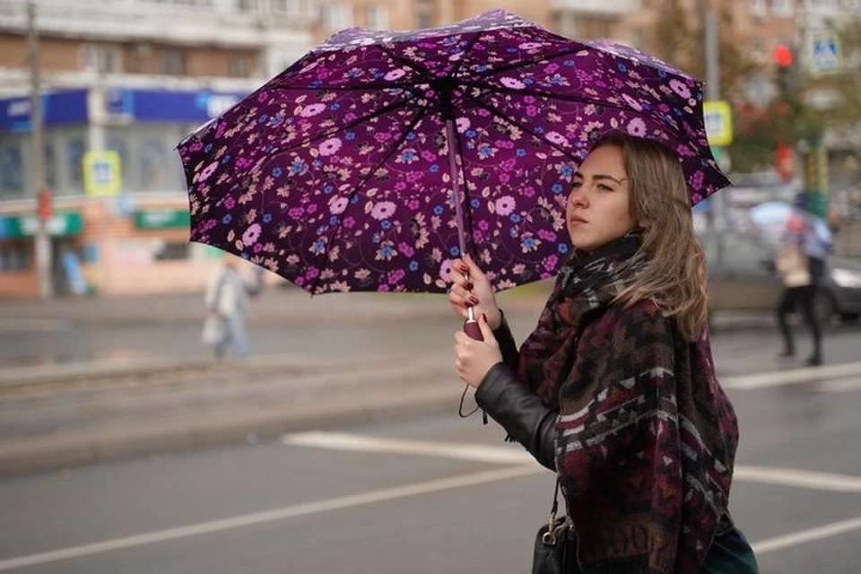 В Приморье прогнозируют дождь