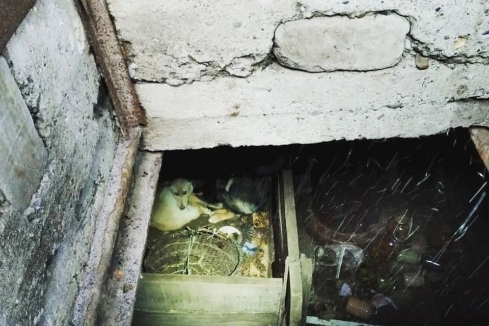 Фото: пресс-служба МЧС Ульяновской области