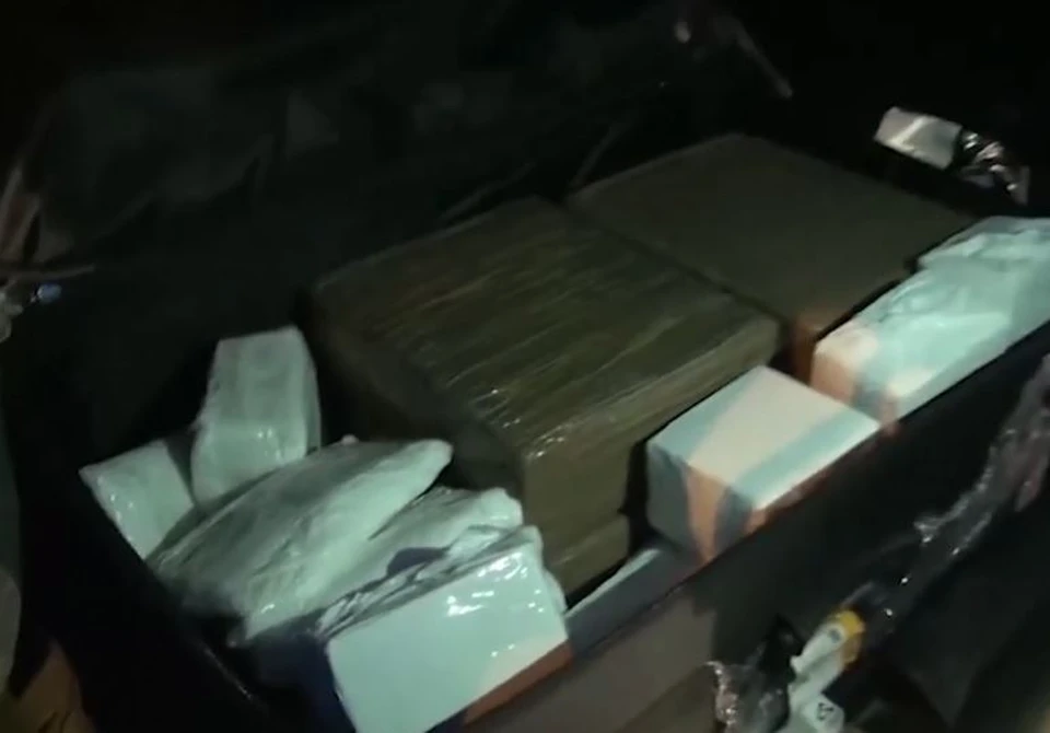 На тюменской трассе задержали мужчину, который вез в чемодане 50 килограммов наркотиков. Скриншот из видео УМВД по Тюменской области.