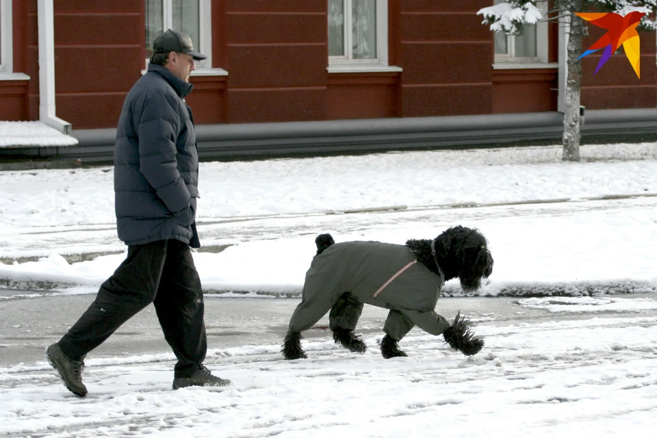 Выгуливать можно, только осторожно.