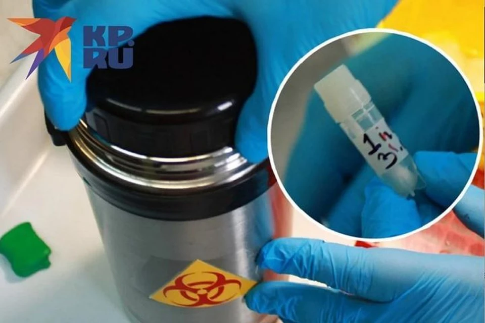 Упаковывают анализы зараженных в такой контейнер. Фото: Центр гигиены и эпидемиологии в Новосибирской области.