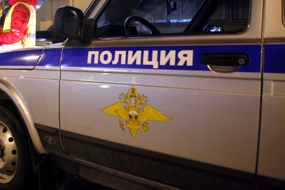 Похитителя девушки в Пскове сумели задержать в течение 5 минут после её звонка.