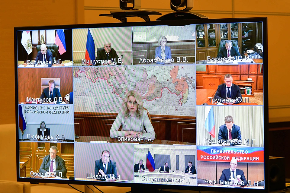 Президент провел совещание с членами правительства РФ в режиме видеоконференции. Фото: Алексей Дружинин/ТАСС