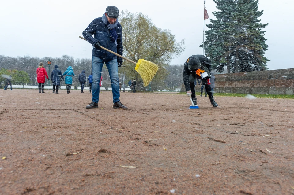 из-за коронавируса в Петербурге отменили субботник.