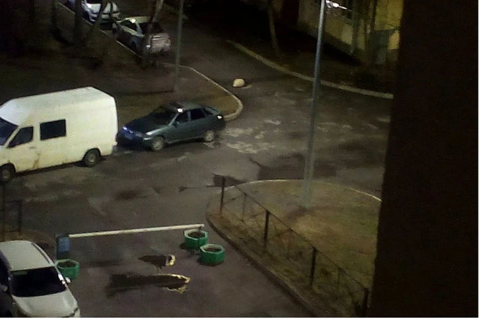 Собака несколько часов охраняла тело умершего хозяина на улице Петербурга